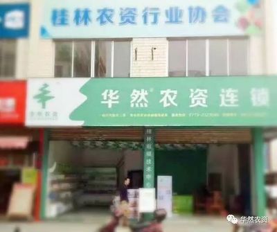 全州种柑橘的小伙伴们有福啦!不看必后悔!!
